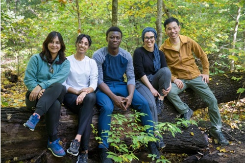 JFK Internal Medicine Residents posing together on a tree branch.