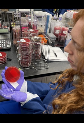 Medical Laboratory Science 