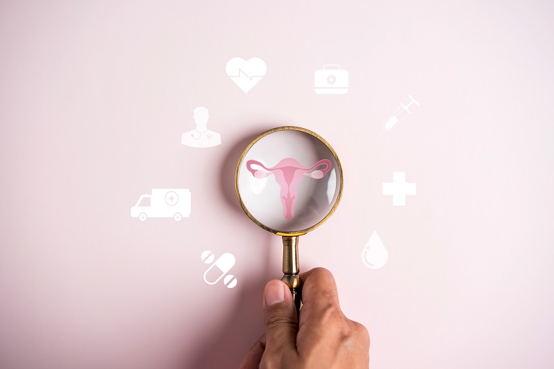 A conceptual photo to illustrate a healthy female reproductive system. A magnify glass over a uterus, with health icons around it.