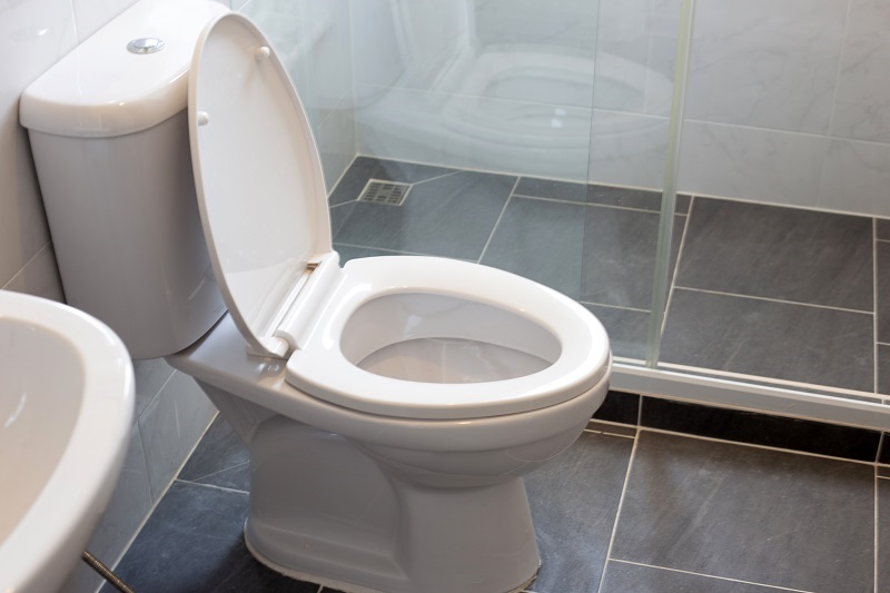 White toilet bowl in a bathroom.