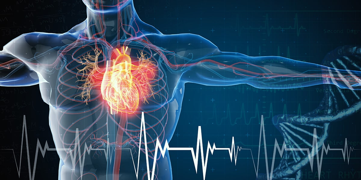 Cardio RTB17